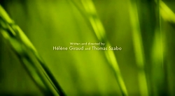 خیلی خیلی کوچک (2) (هویج برفی)